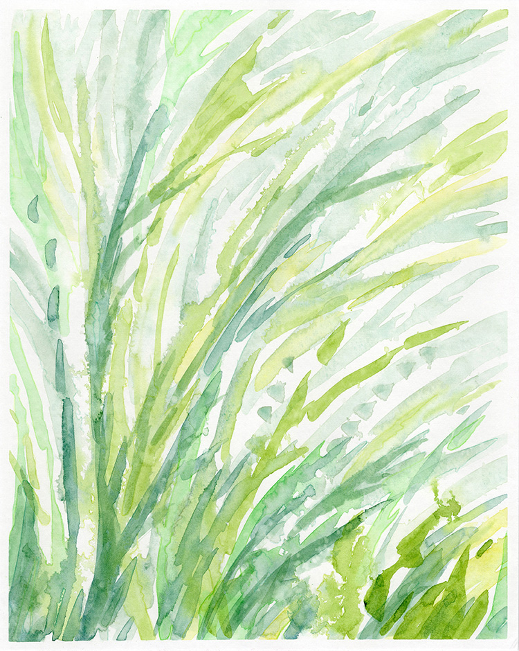 watercolor painting by Alexandria Levin