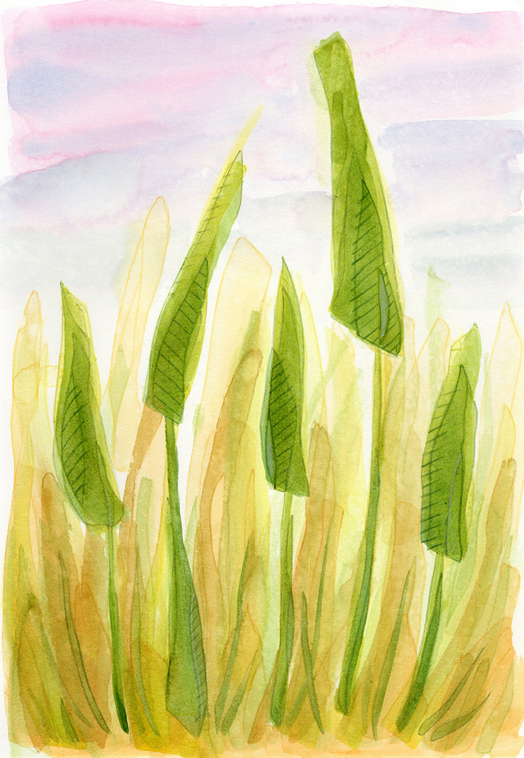 mixed-media watercolor by Alexandria Levin