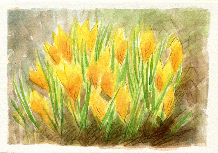 watercolor painting by Alexandria Levin