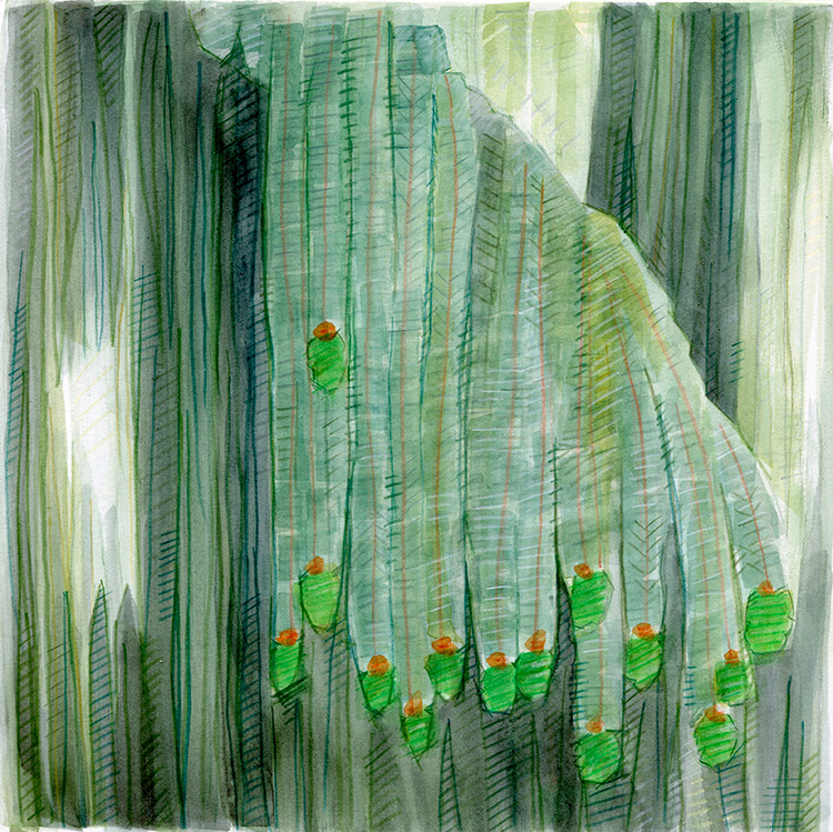 watercolor sketch by Alexandria Levin