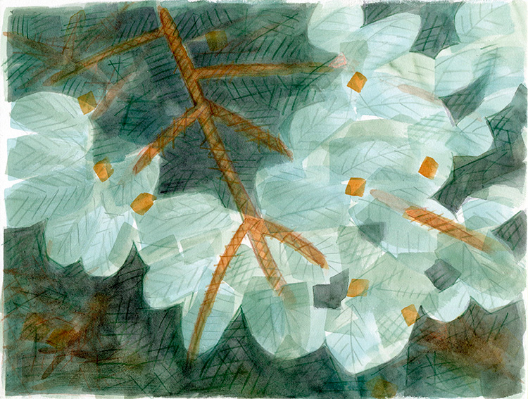 watercolor sketch by Alexandria Levin