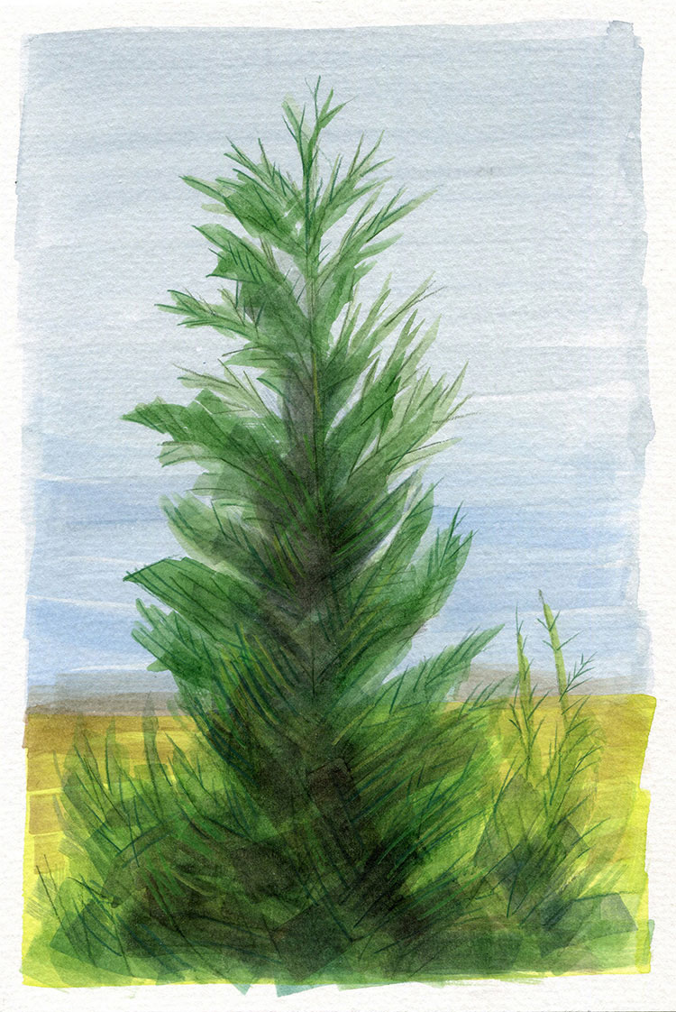 watercolor painting by Alexandria Levin