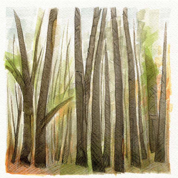 watercolor painting by Alexandria Levin