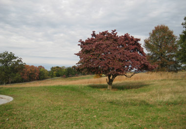 Photograph by Alexandria Levin