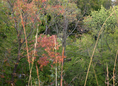 Photograph by Alexandria Levin