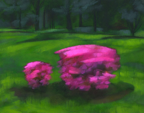 Azalea #6 - Oil Painting by Alexandria Levin